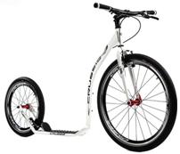 Image result for crussis